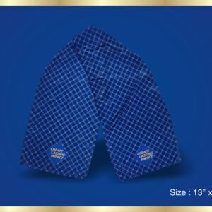 Theme Message Golden / Blue Blocks Scarf 2026-27